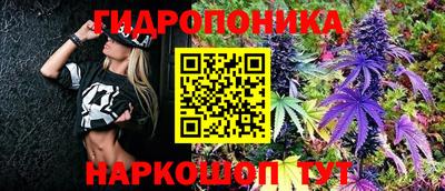ПСИЛОЦИБИНОВЫЕ ГРИБЫ Свободный